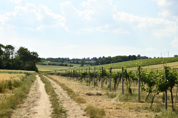 Exploration des campings trois étoiles de Dordogne